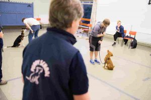 Owner teaching puppy to sit as Puppy School tutor observes during puppy training classes