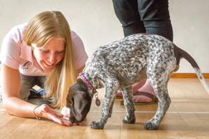 Puppy School tutor on floor letting Pointer puppy sniff her hands